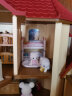 日本森贝儿家族玩具森林动物巧克力兔宝宝双胞胎公仔女孩过家家娃娃玩偶玩具 5219 波斯猫双胞胎 晒单实拍图
