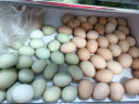 惠寻京东自有品牌 山西草鸡蛋40枚健康散养1920g 产地直供现捡现发 晒单实拍图