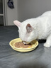 K9 Natural猫罐头170g猫粮无谷主食罐头成猫幼猫通用新西兰feline猫罐头 10罐混合(3-4口味随机) 实拍图
