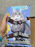 康贝尼 猫绳牵引绳工字型猫咪胸背带防挣脱幼猫成猫遛猫绳子 猫用品 灰色 M中号/6-15斤猫用 实拍图