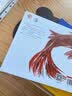 大鱼 最美中国系列图画书 浙江卷 温岭海角版画 渔民特色生活 保冬妮 早教启蒙 实拍图
