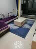 欧纶斯（Oulens）客厅地毯茶几毯北欧式简约卧室地毯床边毯厨房浴室防滑地垫书房垫 蓝色羽毛 300cm*200cm 【大客厅推荐】 实拍图