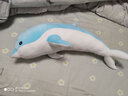 海豚公仔毛绒玩具大号长条抱着睡觉的布娃娃可爱抱枕玩偶儿童生日礼物礼品送女生女友圣诞节礼物 普通款蓝色 70厘米（送海豚挂件） 实拍图