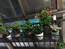 凝鹿铁艺创意阳台挂式悬挂护栏花架植物装饰室内多肉栏杆花盆架子欧式 120*30*12cm（备注栏杆直径） 实拍图