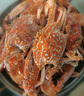 蟹得福 湛江特大兰花蟹梭子蟹鲜活飞蟹海鲜新鲜蓝花蟹带膏母蟹 【家庭装】5斤装 （2-3只/斤） 实拍图
