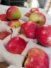 菓灵稥【现货】东北鸡心果小苹果锦绣海棠果沙果新鲜水果甜脆 5斤中果 试吃尝鲜装 商超品质 实拍图