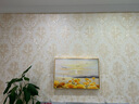 瑞尚（RUISHANG） 遮挡电表箱装饰画配电箱可推拉壁画客厅挂画有框电源箱开关盒 花海 60*40可覆盖（横50竖30）晶瓷面 实拍图