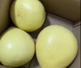 鲜有志红心柚子蜜柚福建平和琯溪冰糖柚当季时令新鲜水果整箱 三红蜜柚 2个 【5-6斤】 实拍图