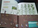 万物由来  6-14岁儿童大百科，孩子身边的科学，3200幅科普漫画讲述万物的前世今生（套装共6册） 实拍图