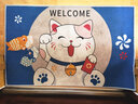 先邦可定制入户门地垫入户门口门垫进门脚垫进门入门浴室卫生间垫子 可爱招财猫 宽50*长80cm 实拍图