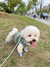 宠星记 宠物衣服 小型犬狗狗 小猫咪 冬季居家防飘毛 泰迪比熊雪纳瑞 绿色大号XL 胸围41-45cm 实拍图