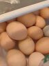 跑山密水农家新鲜土鸡蛋 粮食喂养月子鲜柴鸡蛋 山林散养儿童餐食材 柴鸡蛋30枚 实拍图