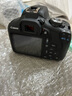 佳能（Canon）EOS 1500D 入门级家用单反相机 18-55标准变焦镜头套装（含32G卡+相机包+备用电池+UV保护镜） 实拍图