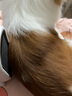 好主人猫罐头 猫零食成猫幼猫通用金枪鱼白肉汤罐混合口味高肉含量补水 【主食罐】鲜鸡肉味100g*12 实拍图