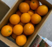 京鲜生 当季鲜橙 5kg装 单果约140-170g 新鲜水果礼盒 晒单实拍图