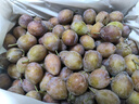 卫青沙窝新鲜国产西梅应季新鲜水果时令李子 带箱5斤大果 净重4.5斤 实拍图