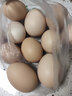 我老家新鲜大鹅蛋 农家自养土鹅蛋 现捡现发 鹅蛋12枚(120-140g) 实拍图
