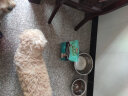 麦富迪狗粮 藻趣儿2kg 成犬中大型小型犬通用（螺旋藻）金毛泰迪柯基 实拍图