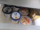 哈老鼎丰朗姆味大奶盒 哈尔滨碗装舀着吃的冰糕雪糕冷饮520g（260g*2盒 ） 实拍图