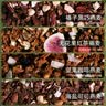 麦纤之控坚果烘焙燕麦片格兰诺拉黑巧麦片水果早餐即食冲饮隔夜燕麦 【送椰子碗+勺】五种口味各1 实拍图