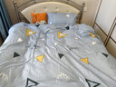 雅鹿单人双人床上用品被子被芯+四件套+枕芯被褥全套装褥子学生宿舍 等待 1.8m 床单款 【褥子+七件套6斤被芯】 实拍图