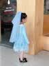 蓓然美爱莎公主裙春夏2026艾莎网纱裙女童连衣裙儿童聚会服生日礼物 蓝裙+披纱 110 实拍图