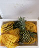 果恋汇（GUOLIANHUI）海南金钻凤梨新鲜当季热带水果手撕无眼香水菠萝树上熟整箱超甜 9斤装大果(4-5个) 实拍图