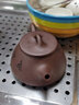 尊壶 宜兴紫砂壶手工茶具石瓢泡茶壶名家作品刻绘逸趣花鸟石瓢壶 实拍图