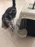 HZPET国航猫咪航空箱南深航飞机托运狗狗铁窗宠物外出便携车载旅行箱子 升级1号：51×33×33cm 双拼色 金属窗 实拍图