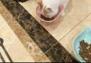 麦富迪（Myfoodie）猫粮 冻干鲜粮牛肉鸡肉全期猫粮 1.8kg 实拍图