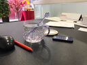 小北家蓝星花杯子耐热玻璃杯清新水杯咖啡杯少女紫色办公室ins风花茶杯 蓝星花（含搅拌棒，盖子，杯垫） 实拍图