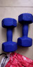 泊泺磨砂浸塑哑铃女士家用瑜伽哑铃套装家用小哑铃套装郑多燕跳操男士 10kg*2共计20kg（蓝） 实拍图