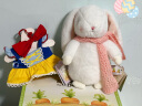 海湾兔兔子毛绒玩具女生日新年礼物玩偶可爱伴手礼 海湾兔 824236白雪公主套装 晒单实拍图