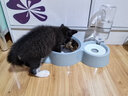 hoopet猫碗双碗不锈钢狗狗碗宠物猫粮食盆自动饮水器水碗喂食器陶瓷用品 三合一宠物碗-莫蓝 实拍图
