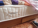 海马海木天然乳胶席梦思床垫独立弹簧3E环保椰棕家用床垫子软硬两用可定制 两用D款:乳胶+独立弹簧+3E棕 软硬两用23cm 0.9米*2.0米 实拍图