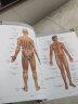 奈特人体解剖学彩色图谱（第7版）张卫光  中英双语对照  医学生和医学临床工作者的必备 实拍图
