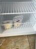 惠康（HICON）储奶小冰箱  急冻小冰柜迷你家用 单门小型冷冻单温柜 全冷冻母乳冰柜 升级款-冰柜40L-复古薄荷绿带把手（带冰篮） 实拍图
