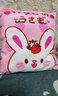 特酷宝贝 ins网红抱枕可爱一袋小兔子零食抱枕创意仿真樱花兔子少女心玩偶七夕520情人节生日礼物 一袋小兔子（内含8只） 实拍图