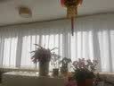 蝴蝶牌 家用电动多功能缝纫机带锁边锁眼钉扣绣花吃厚强静音 8330A自动穿针 23线迹调针距针幅 实拍图
