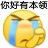 曲和婚房布置全套男方女方装饰卧室客厅布置结婚房间气球拉花婚庆用品 吾家有喜婚房套装 卧室+客厅+门房+窗帘 实拍图
