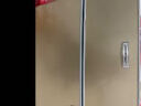 申花家用电冰箱家用两门节能双开门小型迷你租房宿尾货机舍办公室【上门服务】【全国联保】 【容量升级款】-68升（一级能效）金 申花 实拍图