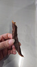 骄子牧场 内蒙古风干牛肉干 超干牛肉零食 手撕肉干肉脯小吃500g 孜然 实拍图