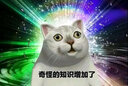 柏拉图书简 实拍图