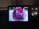 储技 ccd内存卡相机sd卡适用于佳能尼康索尼富士奥林巴斯单反微单摄像机U3高速相机内存卡SD大卡 16G CCD数码相机内存卡+SD读卡器 晒单实拍图