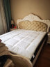 拉芙菲尔五星级酒店床垫学生宿舍床垫子双人床褥防滑保护垫加厚折叠褥子 实拍图