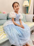 蓓然美灰姑娘公主裙秋爱莎连衣裙艾莎爱丽丝生日礼服儿童公主裙演出服 灰姑娘A 120 实拍图