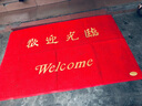 家富美 欢迎光临地垫门垫入户垫脚垫商用迎宾垫丝圈加厚门口除尘防滑垫 欢迎光临加厚 80cm*120cm 1件数 实拍图