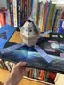 不可思议的宇宙任务月球基地一本真实呈现全程讲述宇宙任务的3D立体书，高清实景图片月球知识启蒙英国纸艺大师7-10岁  实拍图