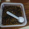 施妍尼桦树茸桦褐孔菌长白山正品白桦茸黑金颗粒500克非俄罗斯进口 实拍图