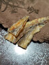 春江月烤鱼圆片烤鱼片干即食碳烤海味孕妇儿童袋装露营鱼零食青岛特产 【碳烤鳗鱼片】250g*2袋 实拍图